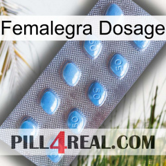 Femalegra Dosage viagra3